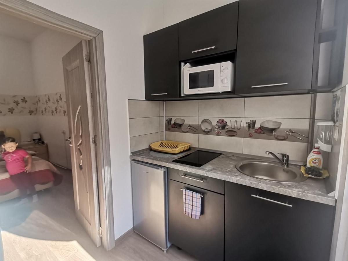 Hotel Casa Dixi Buşteni Zewnętrze zdjęcie