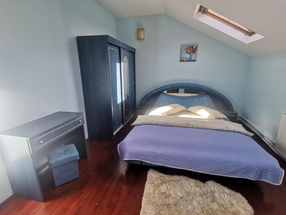 Hotel Casa Dixi Buşteni Zewnętrze zdjęcie