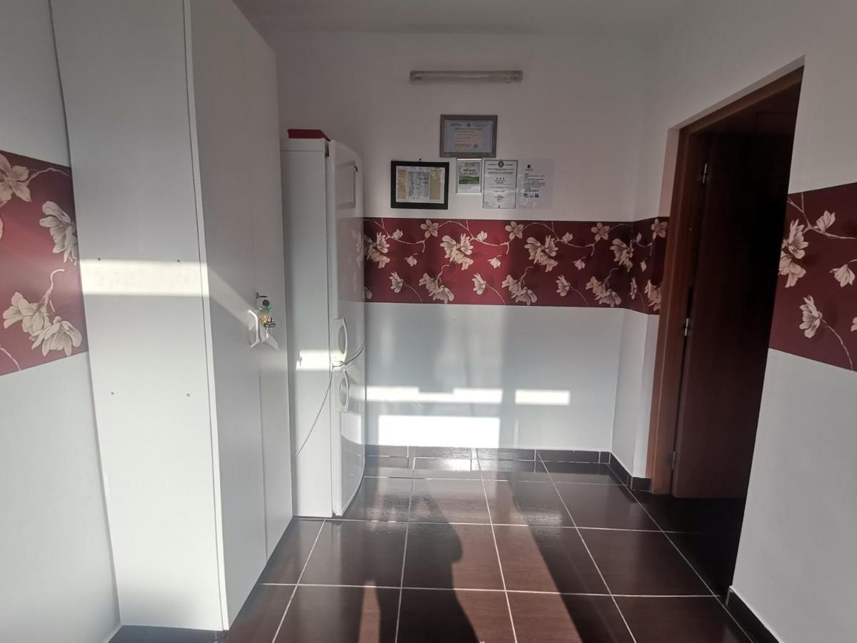 Hotel Casa Dixi Buşteni Zewnętrze zdjęcie