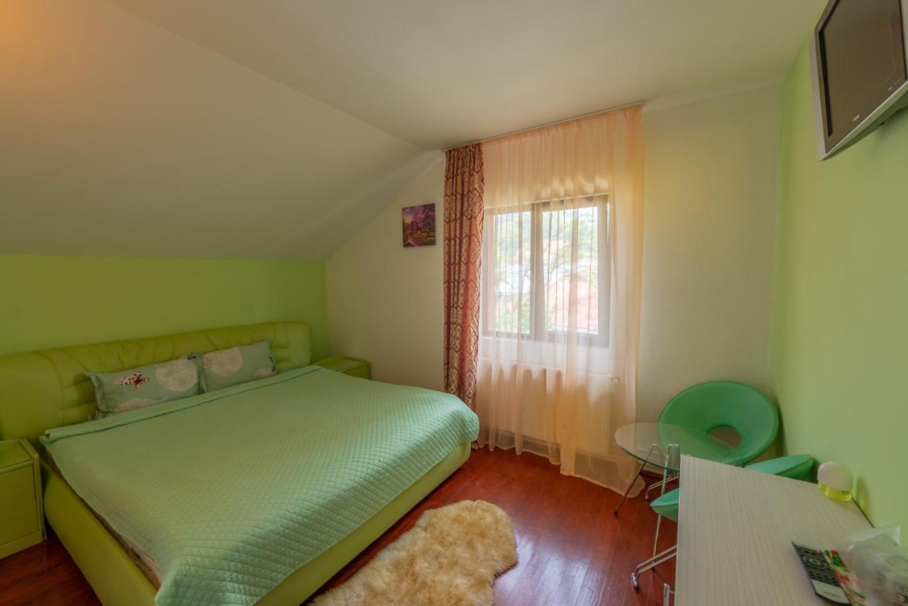 Hotel Casa Dixi Buşteni Zewnętrze zdjęcie